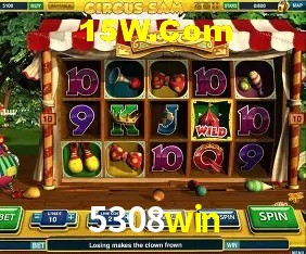 Experiência VIP 5308win