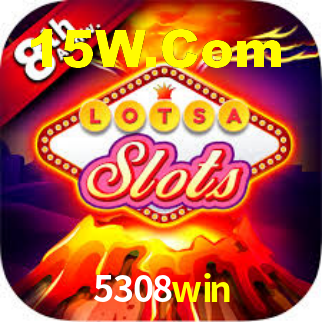 Premium Interface 5308win