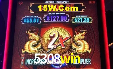 Secure Login 5308win